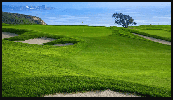 What to know about the Torey Pines South?